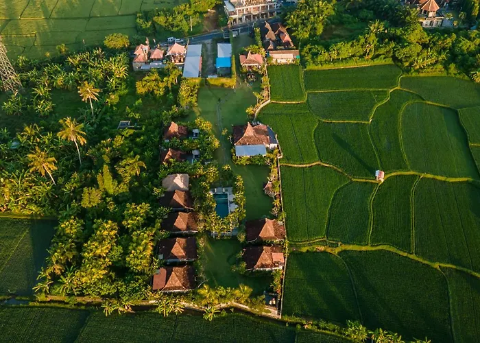 Aswanaya Resort