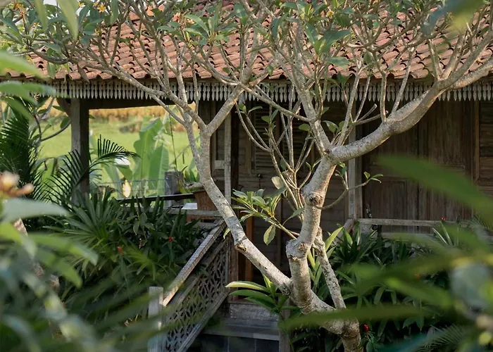 Aswanaya